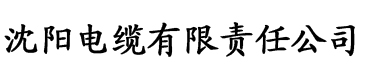 草莓视频网站 1080P电缆厂logo